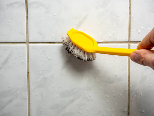 Best Local Mold Removal Service  in La Verne, CA