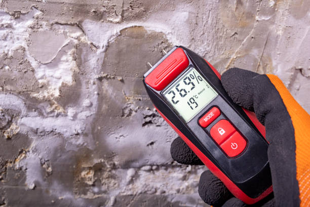 Best Commercial Mold Removal  in La Verne, CA