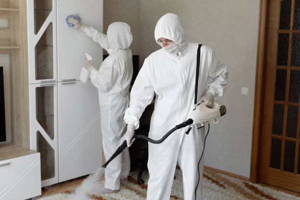 Mold Testing and Removal in La Verne, CA