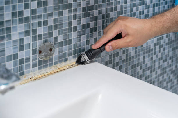 La Verne, CA Mold Removal Company